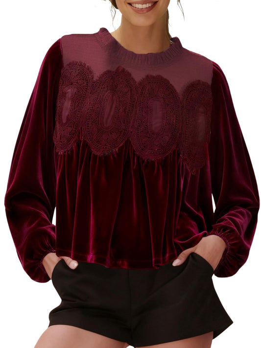 Women's Long Sleeve Velvet Lace Blouse
